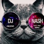 cat-face-avec-dj-nash-web.jpg