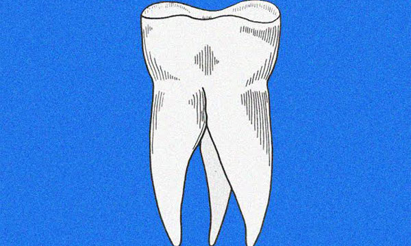 les-dents-web.jpg